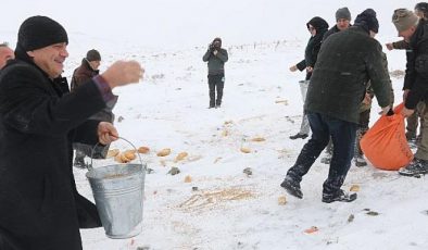 Drone İle Görüntülenen Dağ Keçilerine Yiyecek Bırakıldı