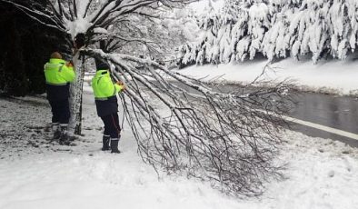 Gebze bölgesinde kar yağışında kırılan ağaç dalları kaldırılıyor