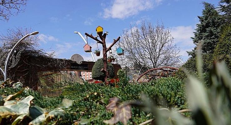 Atatürk Botanik Bahçesinden Bahara Rengarenk Merhaba