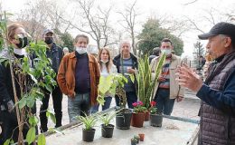 Bahçıvanlık Eğitimi Çankaya Evlerinde Başlıyor