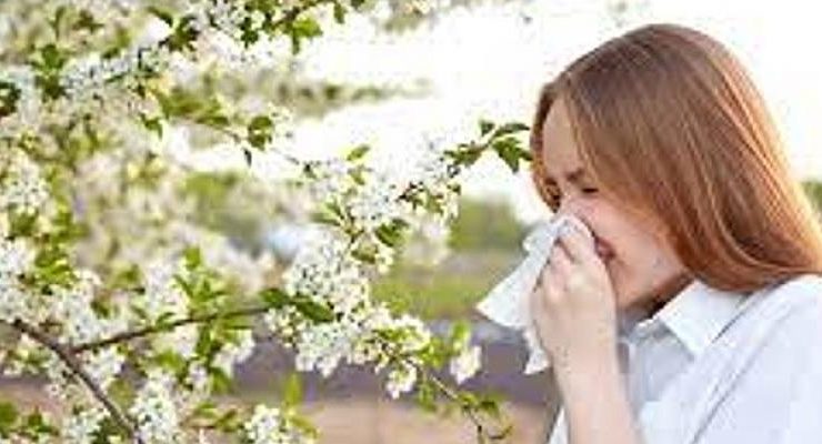 Polen alerjisinden kurtulmanın yolu yağlarda