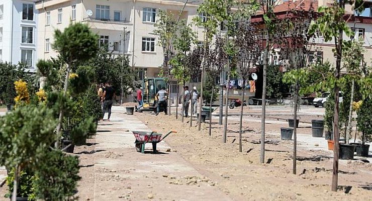 2000 Evler Mahallesi’ne Yeni Yapılan Parka Ağaçlar Dikildi
