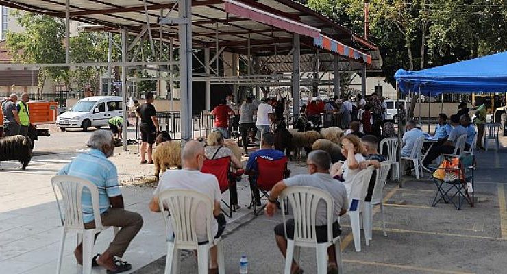 Antalya Büyükşehir Belediyesi 3 noktada kurban kesim hizmeti veriyor
