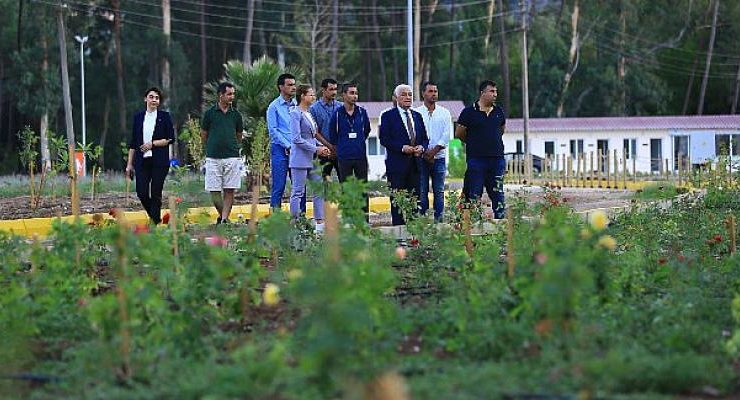 Muğla Büyükşehir Belediye Başkanı Dr. Osman Gürün Tıbbi Bitkiler Koleksiyon Bahçesi’ni İnceledi
